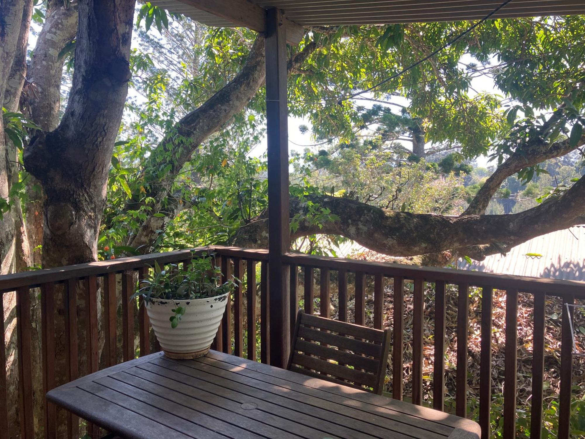 Potters Cottage Bellingen Buitenkant foto